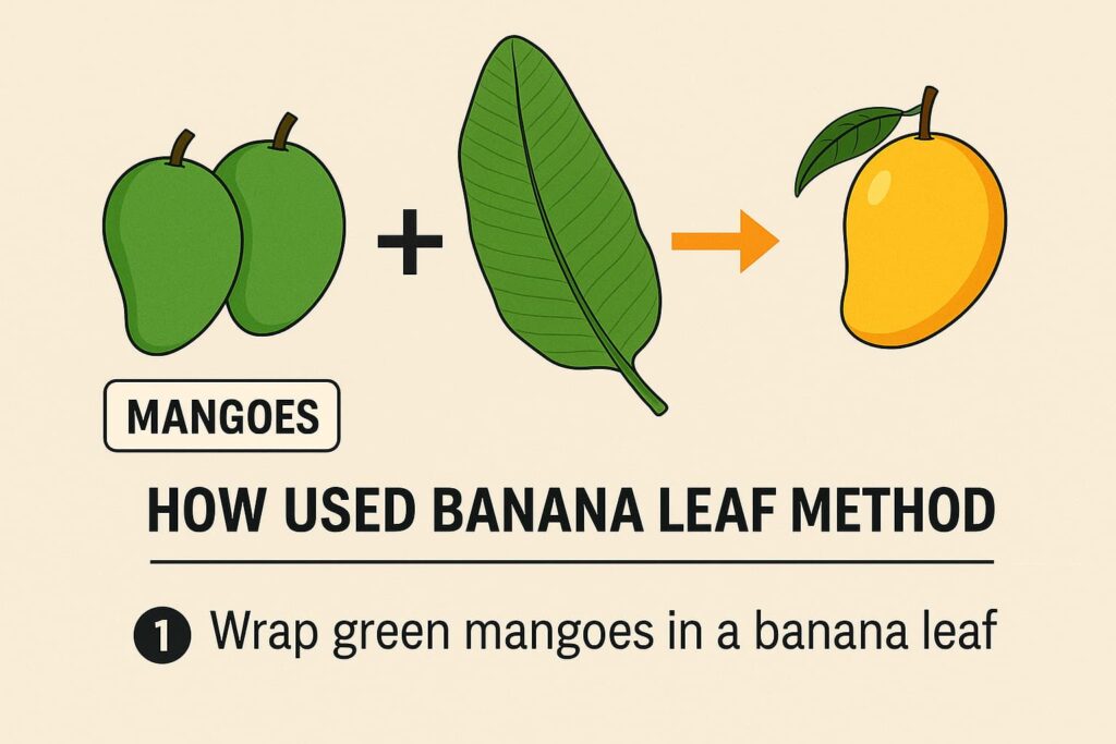 Banana leaf method to ripen mangoes
